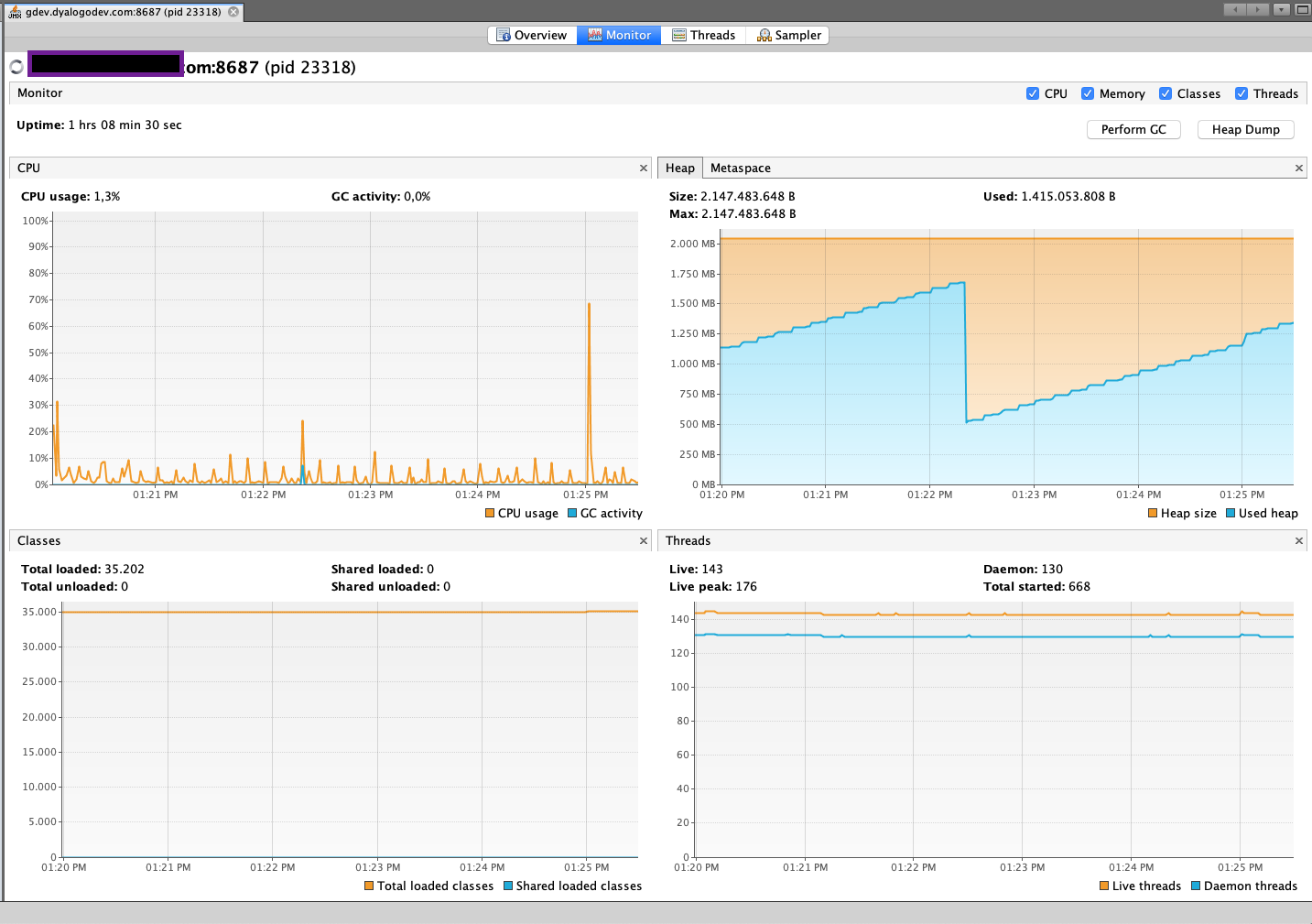 VisualVM PAYARA5 Remote Connection RMI JMX