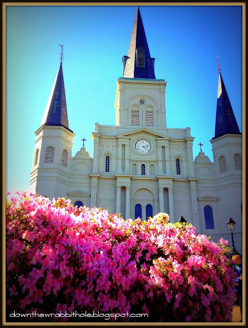 things to do in New Orleans, New Orleans Louisiana, NOLA