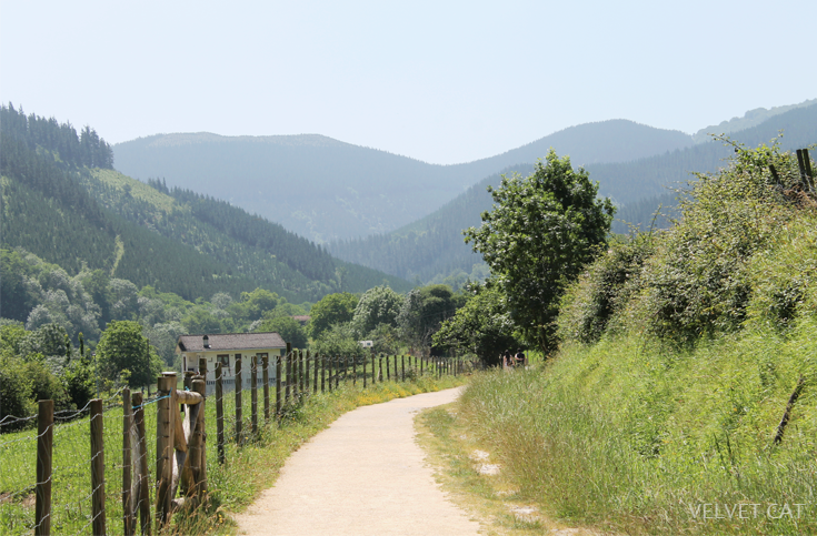 Hoy compartimos tiempo de verano fotografía