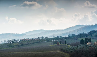 cantina podernuovo palazzone