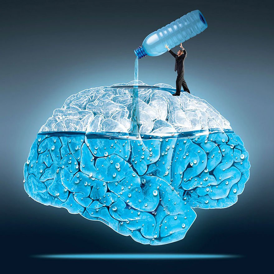 the importance of water to our brain WikiNext