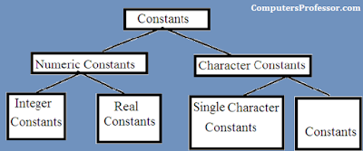 What is a Constant? What are the Different Types of Constants ...