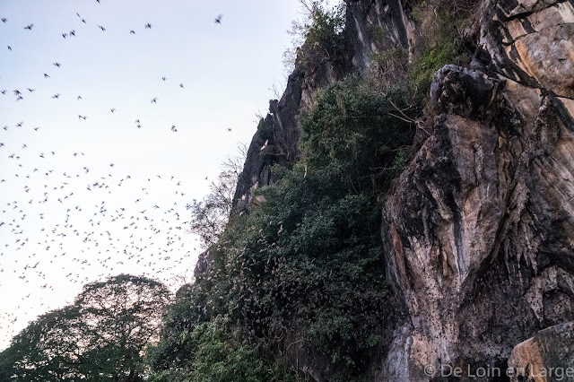 Bat Cave - Région de Hpa An - Myanmar Birmanie