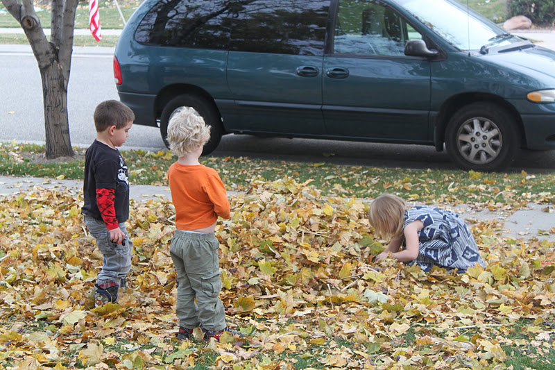 Twelve Makes a Dozen Fall Leaves Fall