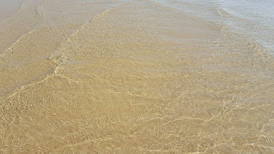 (Almost) Wordless Wednesday - spring at the beach (Almost) Wordless Wednesday - spring at the beach