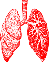 Asthmatic Bronchitis: Exercise Asthmatic Bronchitis: Exercise