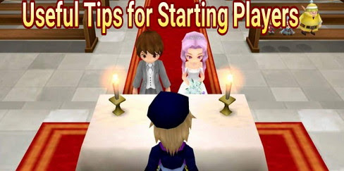 7 Useful Tips for Starting Players When You Play Games Like Harvest Moon