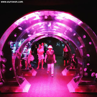 Túnel de medusas