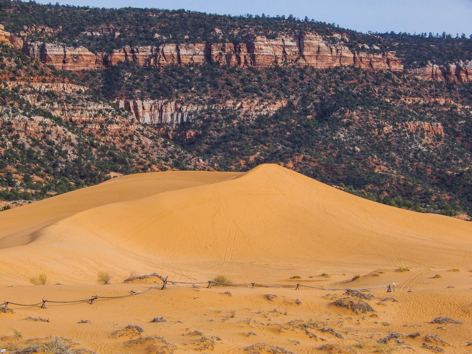 Walking Arizona Coral Pink Sand Dunes