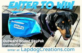 Enter for your chance to win an Outward Hound DayPak at LapdogCreations.com
