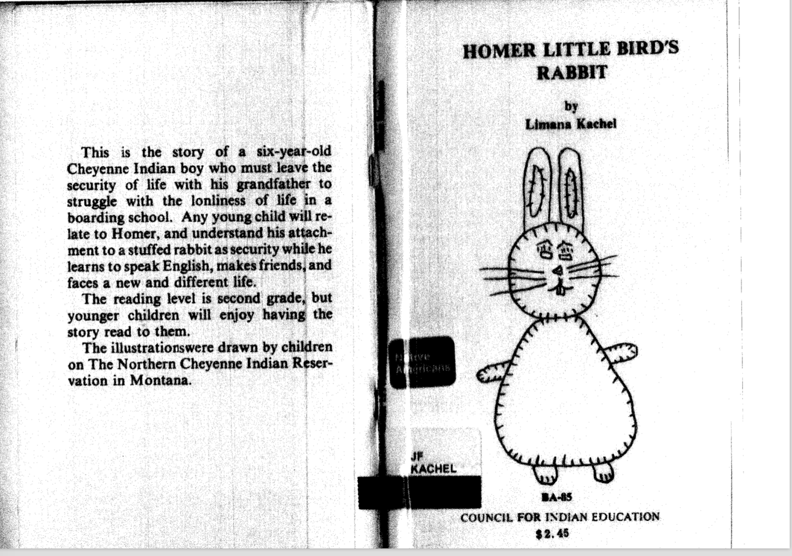 American Indians in Children's Literature (AICL): Thoughts on Homer ...