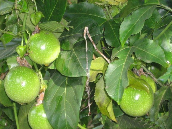 To re-live our Old memories