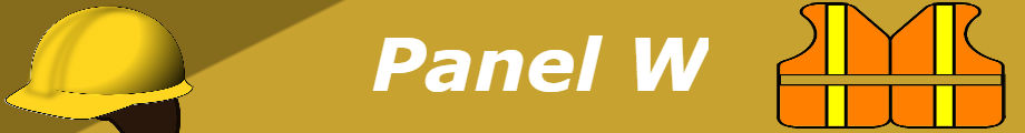 Ventajas y Desventajas del panel w