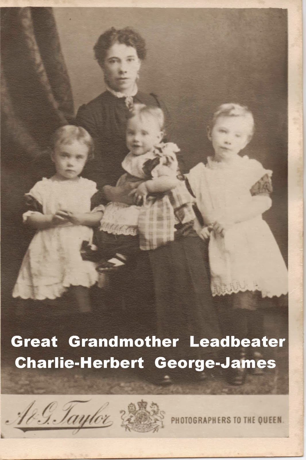 LeadbeatersParquettesfamily information Elizabeth Lavinia Carter