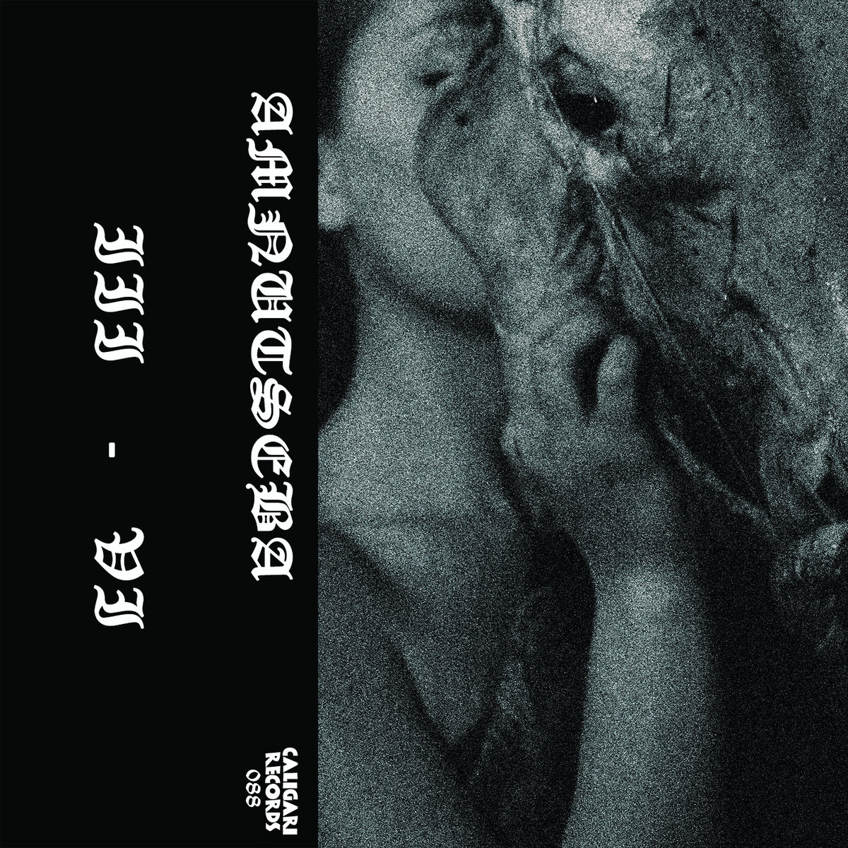 Питер гилмор сатанист. Cult ritual. Black magic ss. Слэмминг брутал дэткор обложки. Лукавый demo.