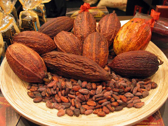 Que significa soñar con cacao