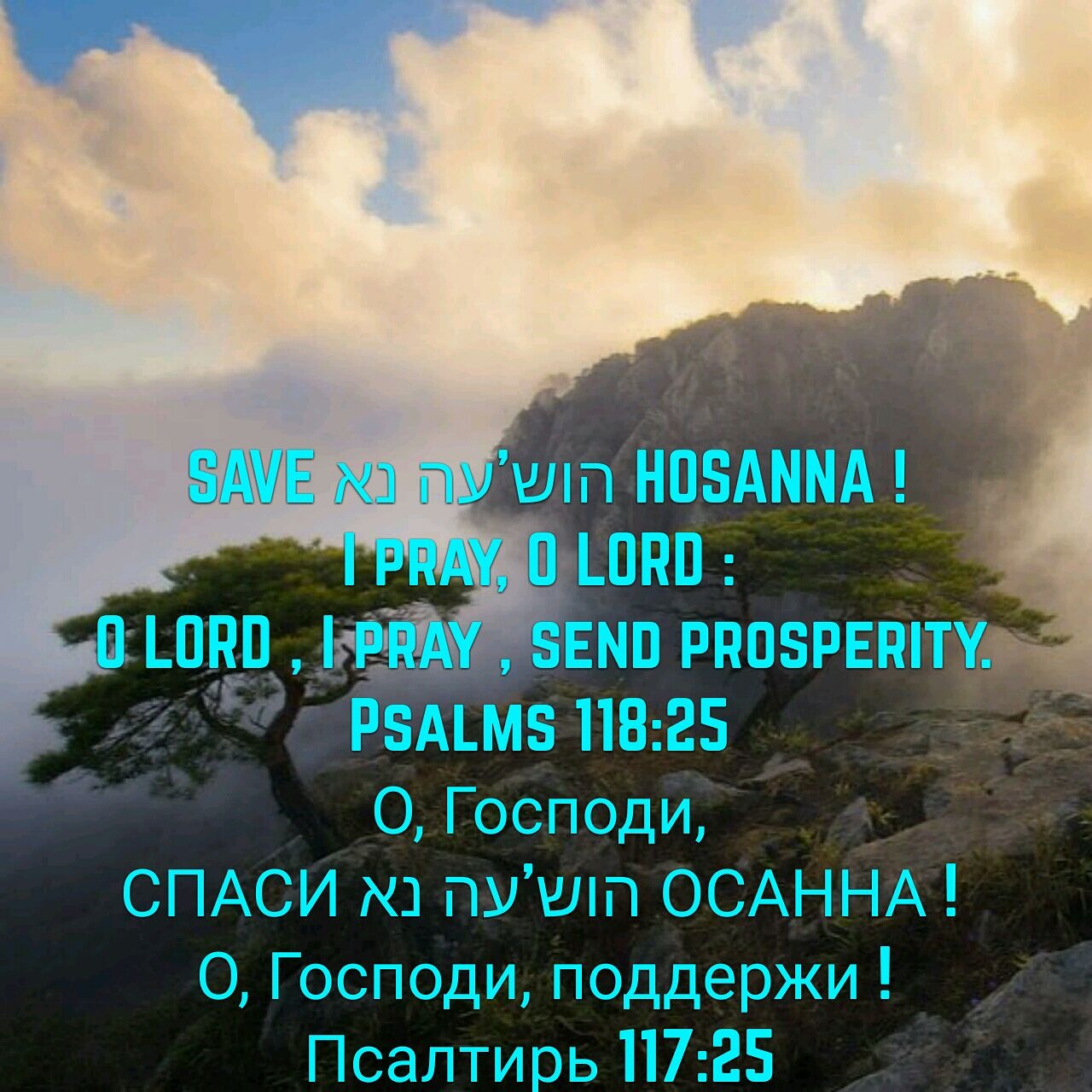 Псалом 117.