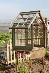 greenhouse window windows mini greenhouses market garden diy decorative pane gardening flea box using shed panes build outdoor gardens step