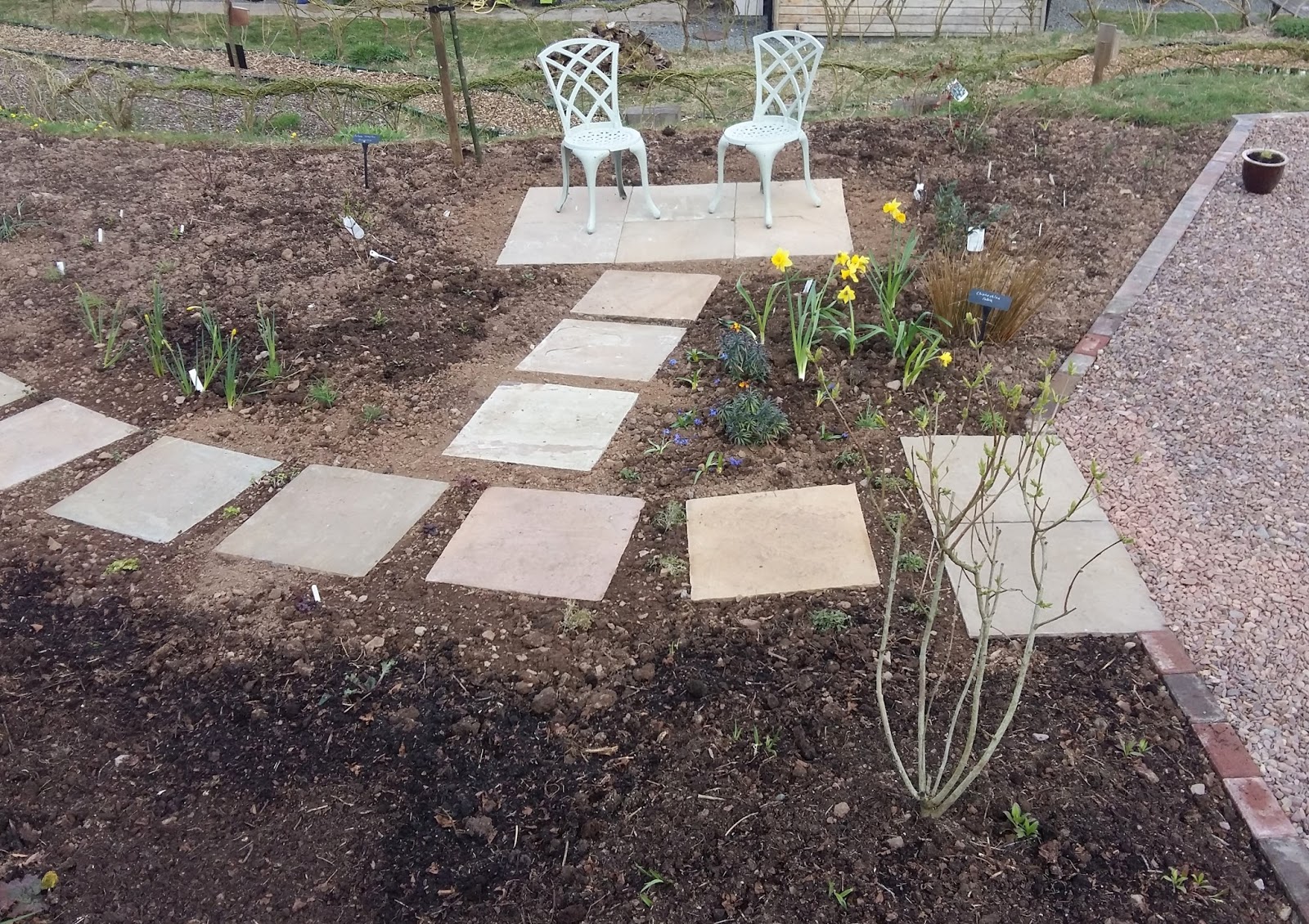 Creating the Herb Garden and Scented Garden