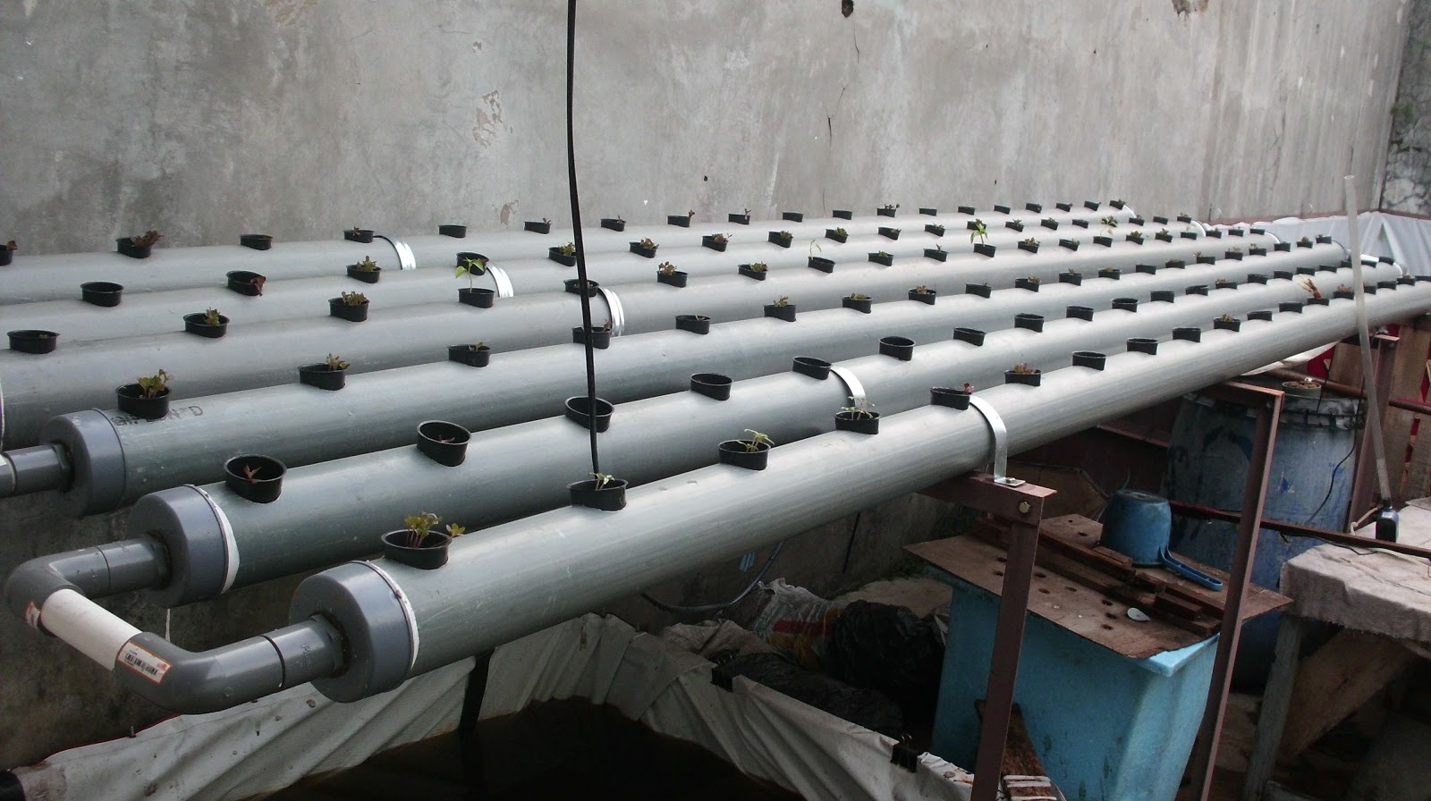 Cara Melubangi Pipa Untuk Hidroponik cara membuat hidroponik