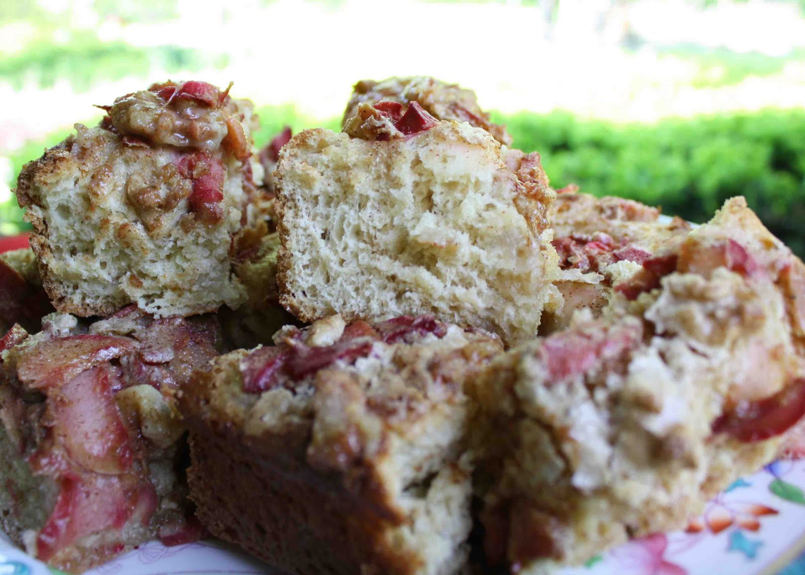 Keeley's Maine Kitchen (But I live in FL and RI now): Rhubarb Kuchen