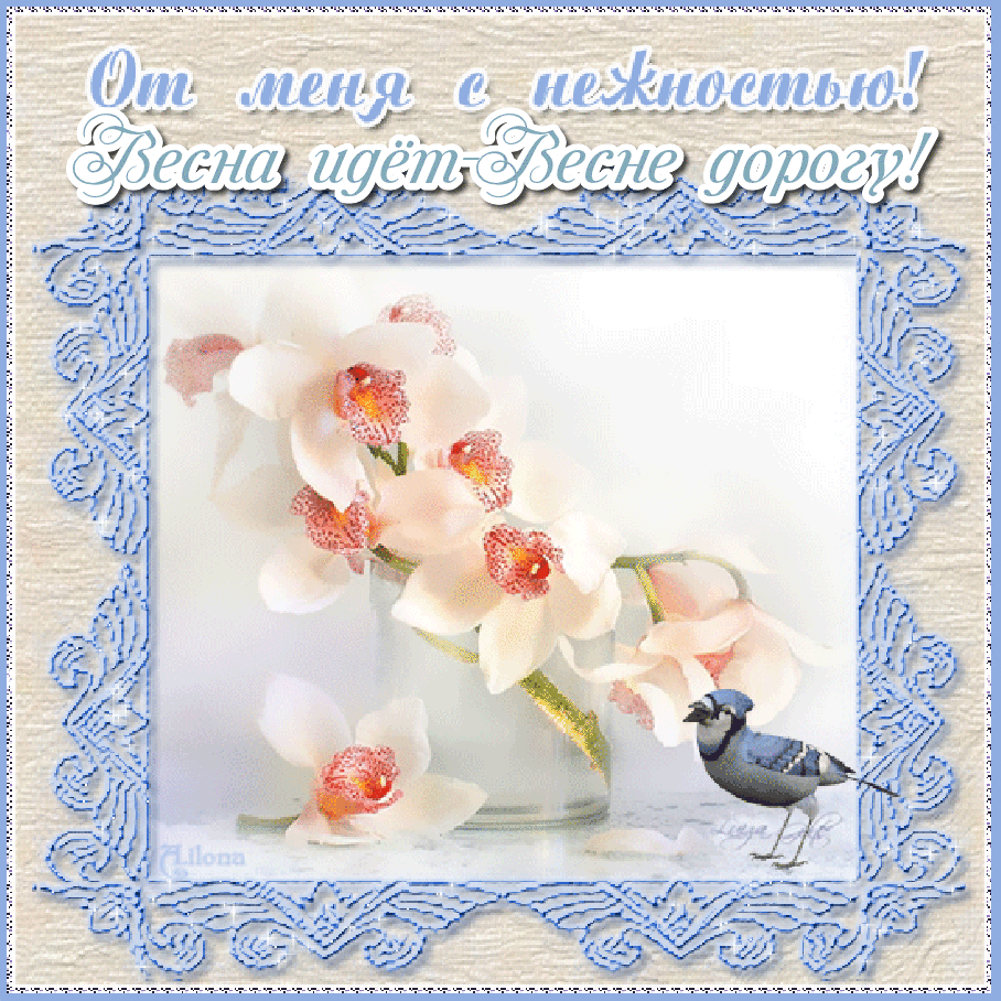 Открытки для нежного друга, пожеланиями целый день