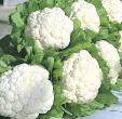 Top Helpful Indian Kitchen, Cleaning,Cooking Tips And Tricks
