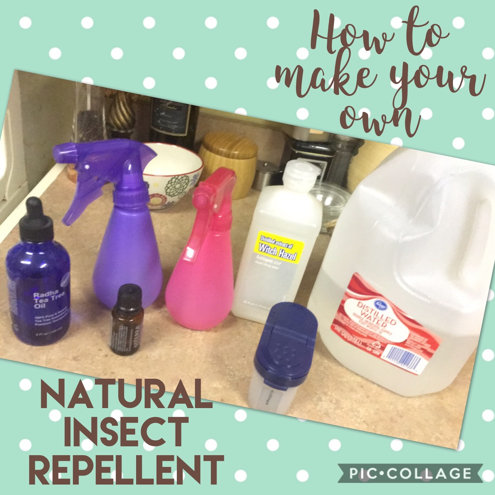 The Southern Glamper Natural Insect Repellent Essential Oils to Enjoy the Great Outdoors