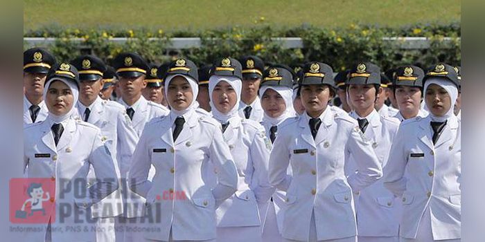 Serentak dan Online, Pemerintah Buka Pendaftaran 8 Sekolah Kedinasan Serentak dan Online, Pemerintah Buka Pendaftaran 8 Sekolah Kedinasan