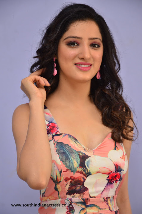 Richa Panai at Rakshaka Bhatudu Movie Pre Release