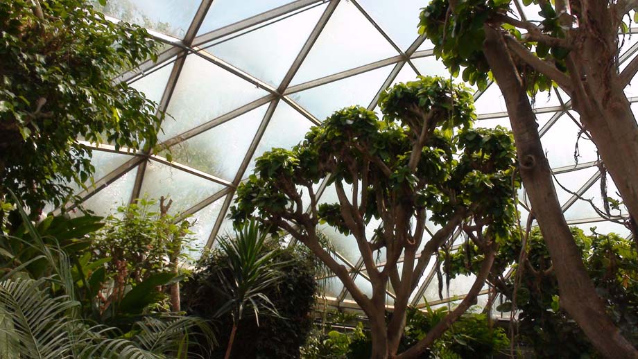 Knowledge Beyond Structure: Topeka Zoological Park - Rain Forest Dome ...
