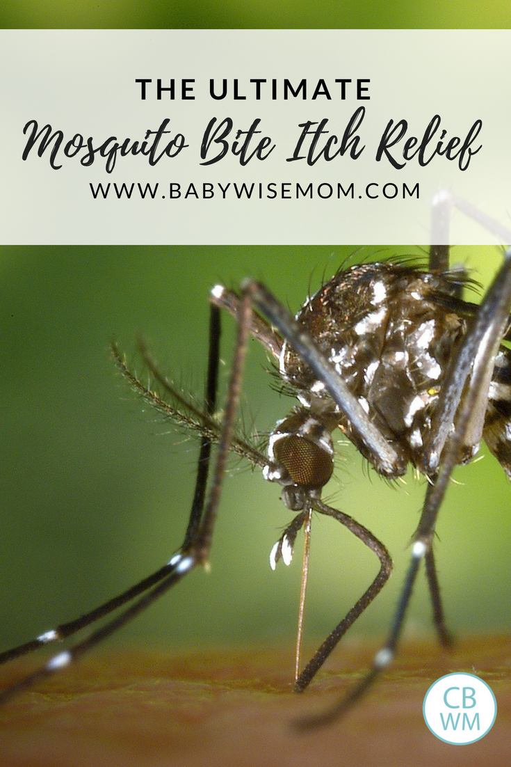 mosquito bite itch relief pen mosquito bite itch relief pen