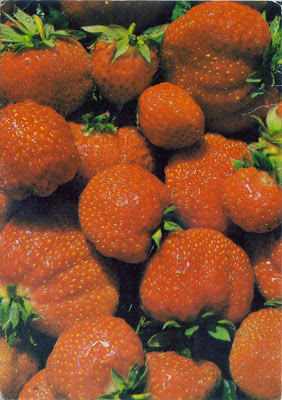 Postcard of strawberries