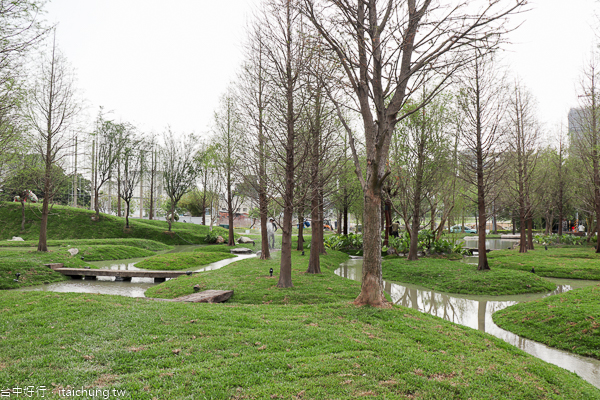 台中南屯兼六園,惠宇建設綠美化秘境,落羽松森林、小橋流水 台中南屯兼六園,惠宇建設綠美化秘境,落羽松森林、小橋流水