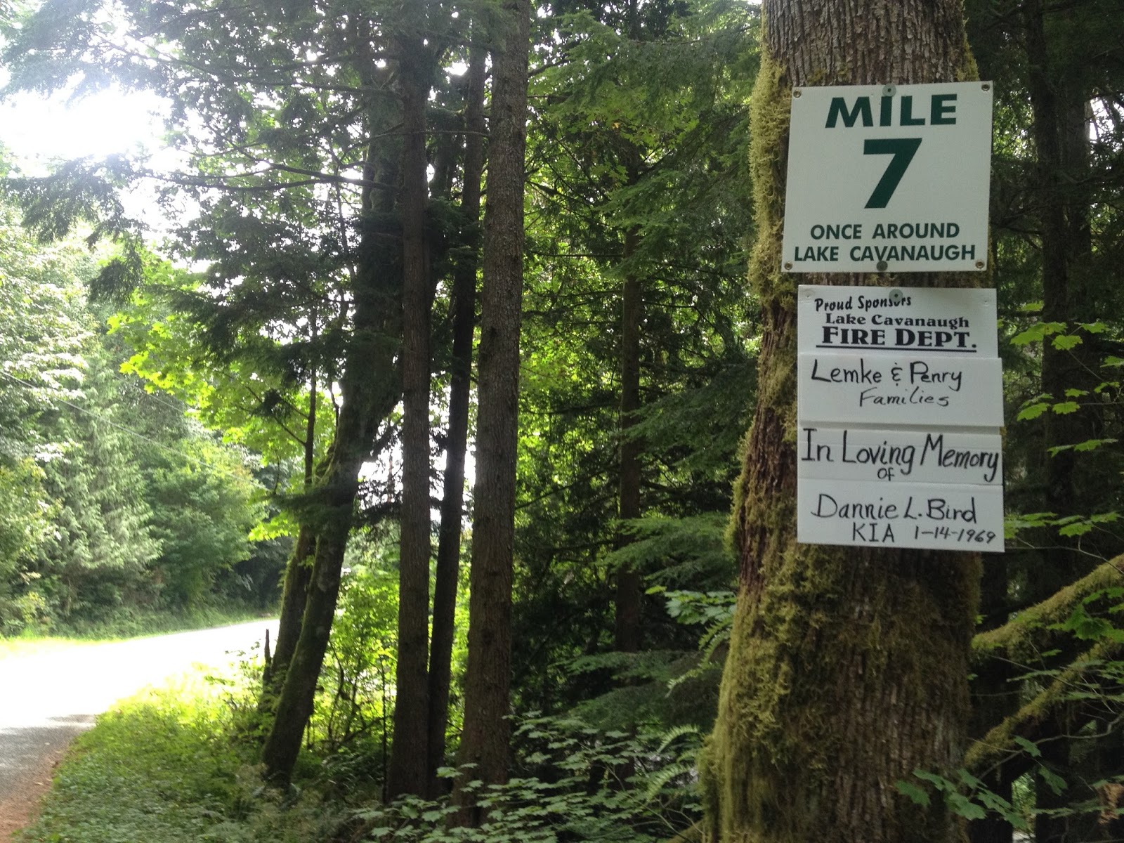 Before The Deluge Once Around Lake Cavanaugh