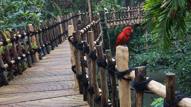 Hotel Royal Safari Garden Bird Park