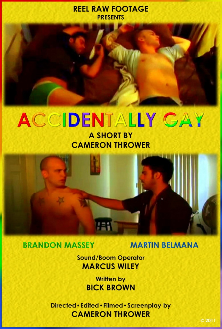 Accidentally Gay (2011)