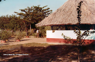 Canal Llanero : EL TÍPICO Y TRADICIONAL RANCHO LLANERO