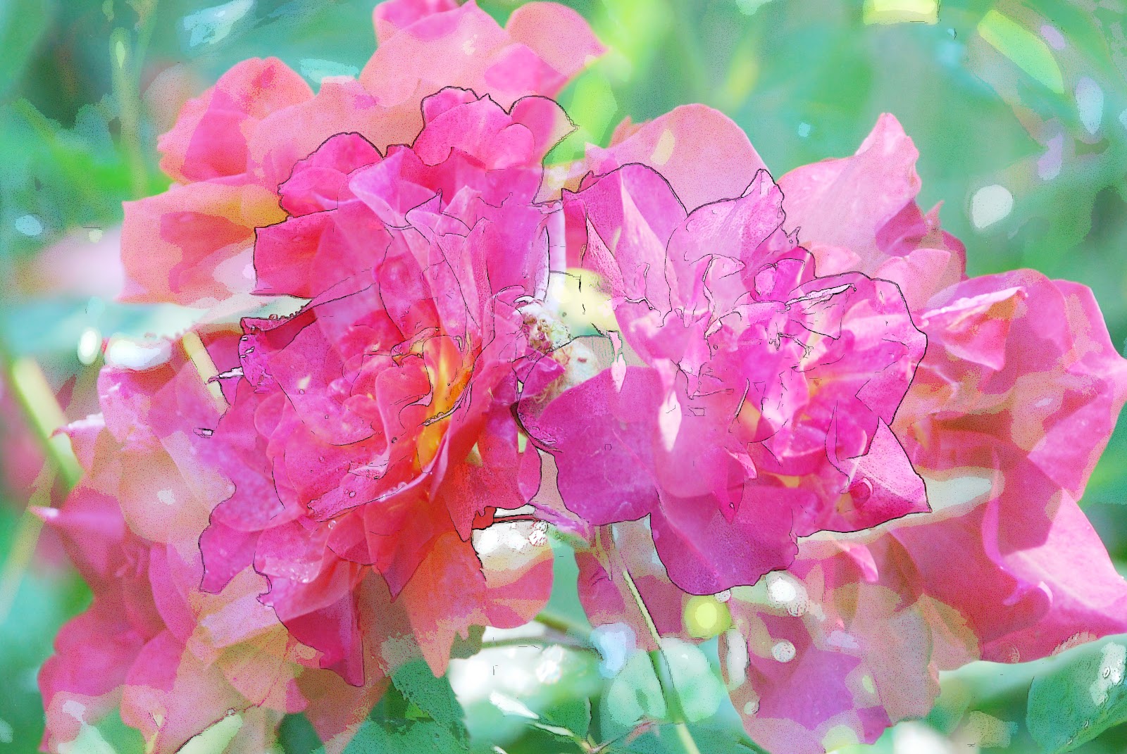 Photographing Flowers Flower Edge Effects in