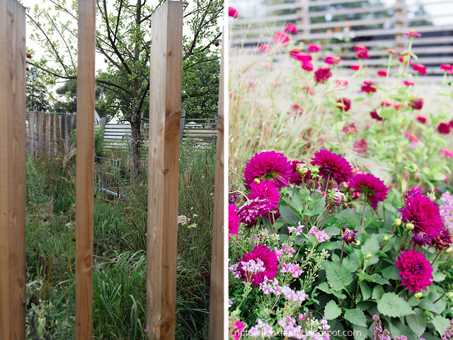 Amtsblatt Fur Brandenburg 2010 Nummer 33 Seiten 1363