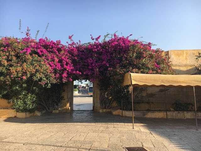 Praia da Rocha - Algarve