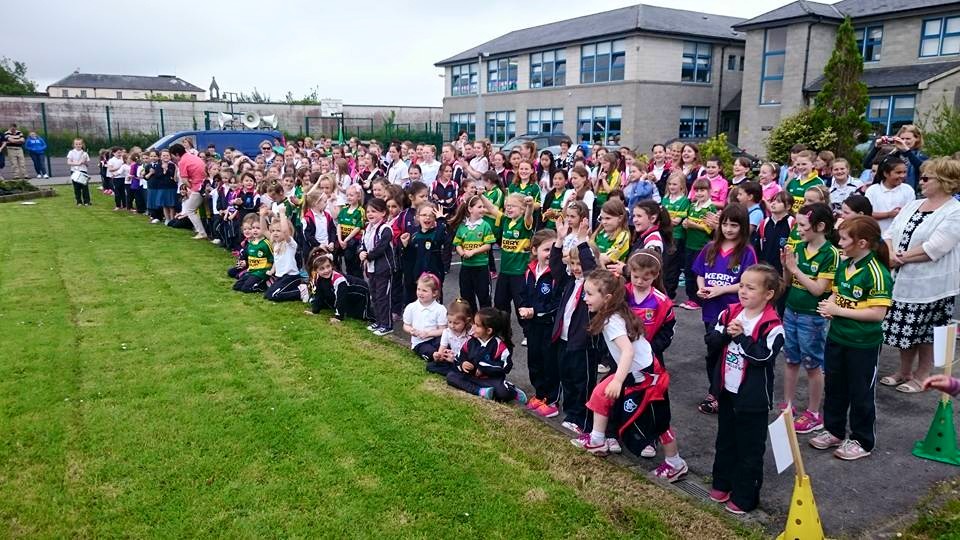 Listowel Connection Listowel Tidy Towns and an unusual Cork