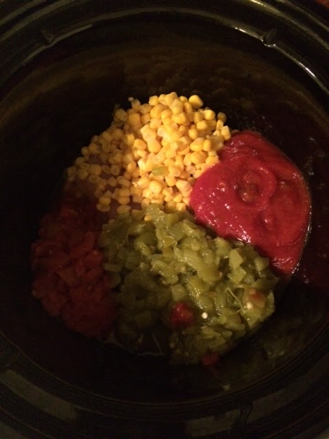 The Fun Food Files Salsa Chicken Casserole