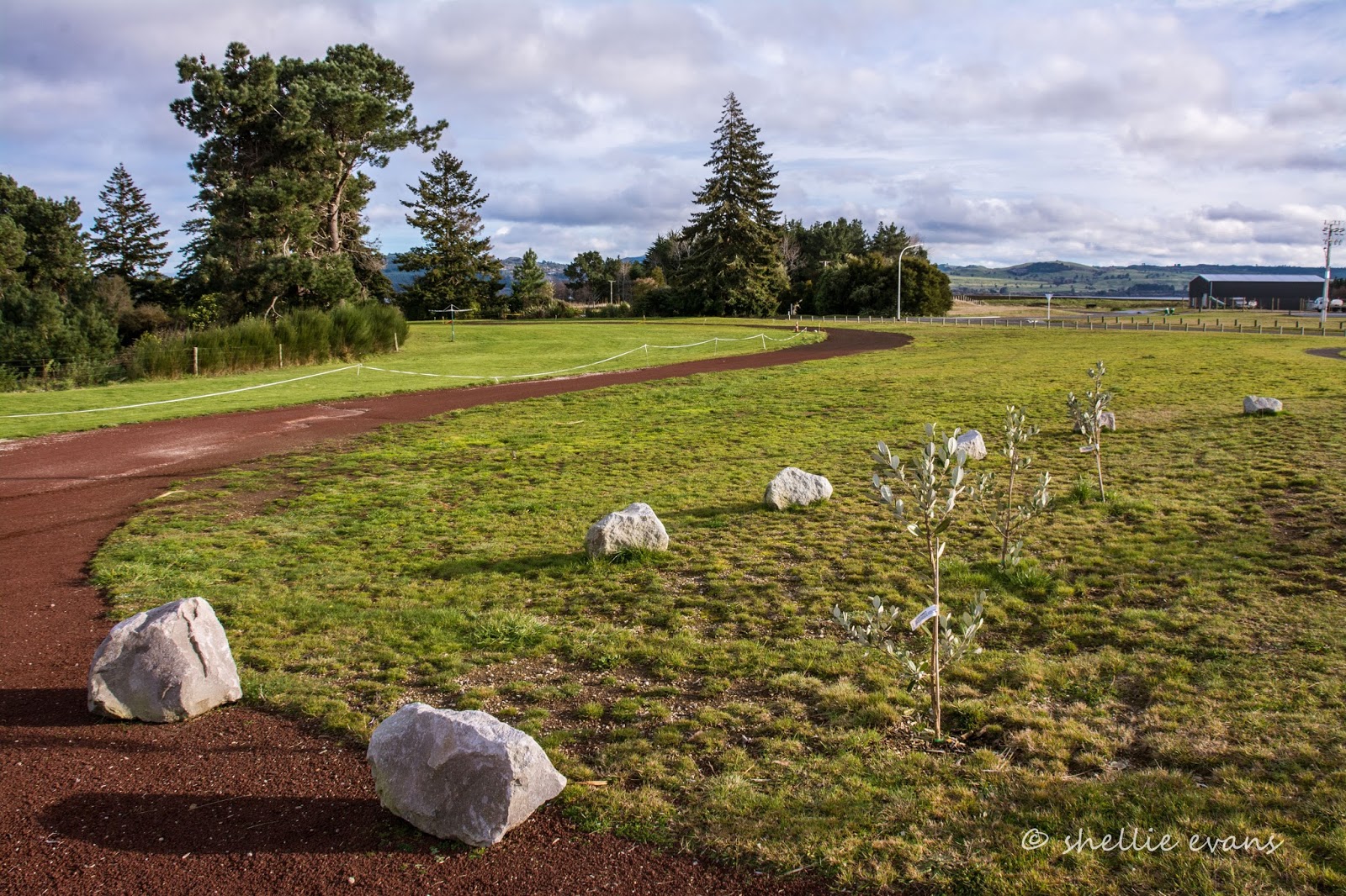 Two Go Tiki Touring Hop, Skip & a Jump to Tauranga