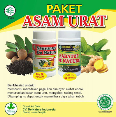 Obat Asam Urat 