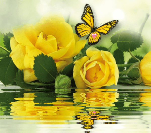 8C4BA0C3-DF6F-40F3-A34E-D990B002676C.gif