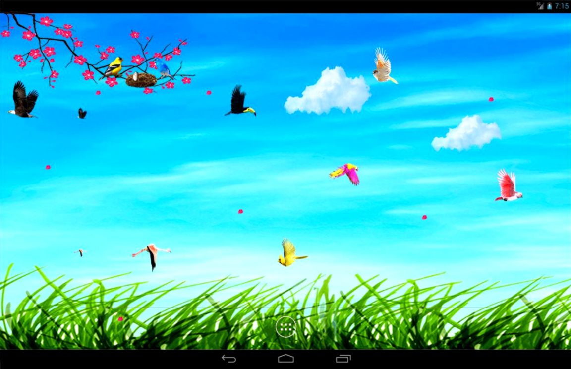 Sky Birds Live Wallpaper   Android Apps on Google Play