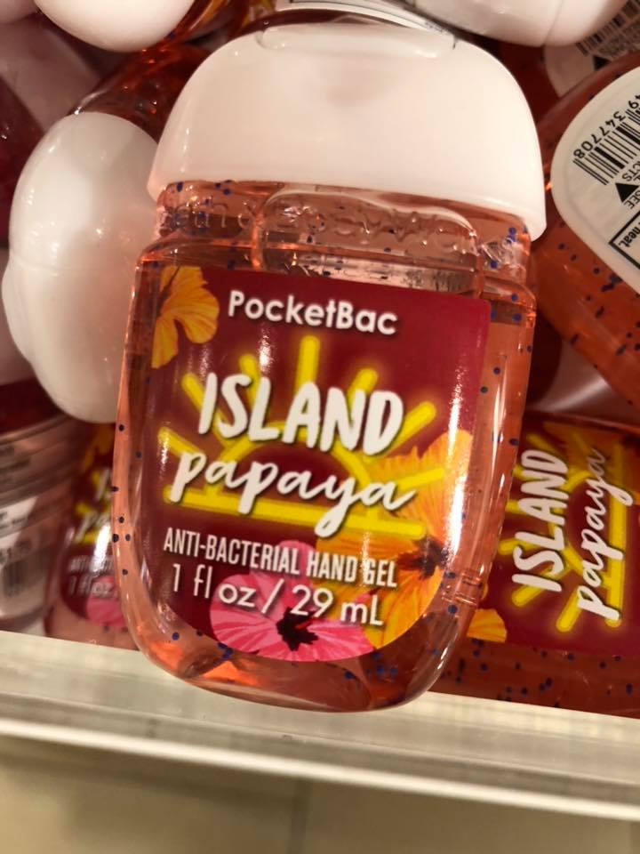 Life Inside the Page Bath & Body Works Hand Sanitizers and
