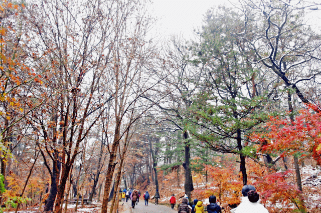 Buyeo Busosanseong Fortress Tour