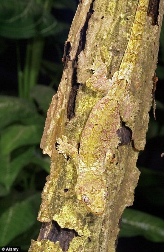 Earthquake essay pdf image